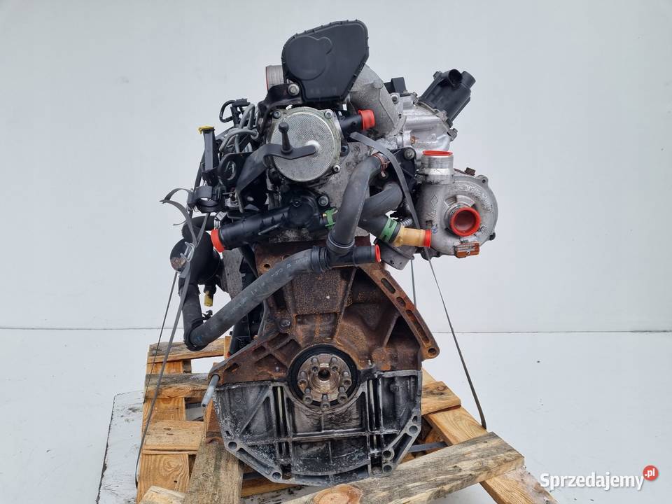 SILNIK KOMPLET Renault Scenic II 15 DCI osobowe Rudka