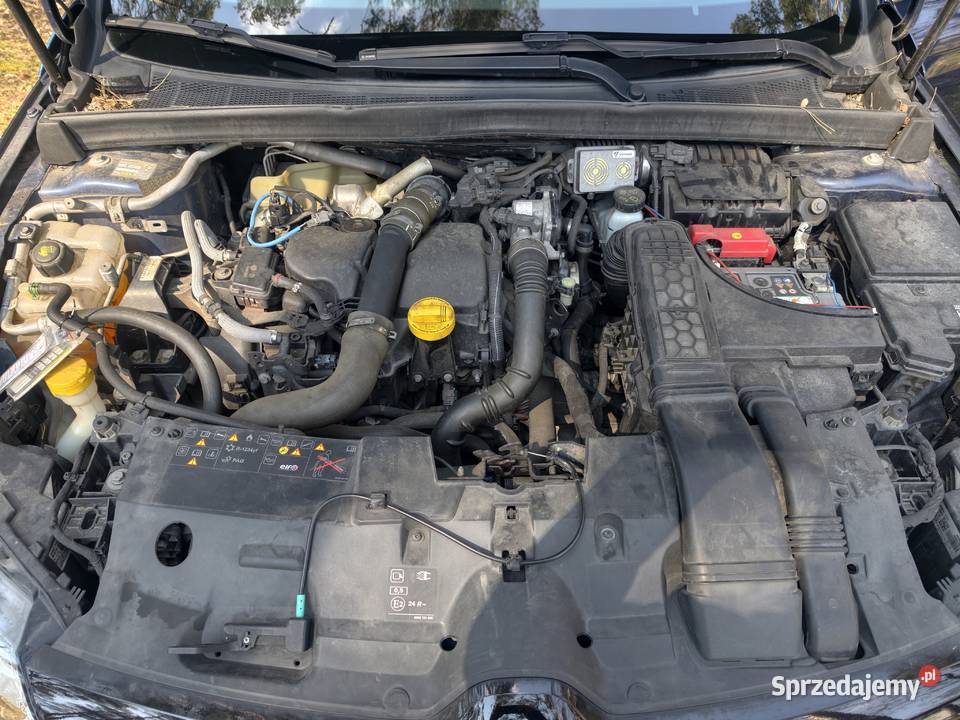 Renault Megane 15 dCi Krzewina