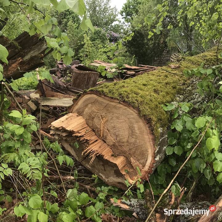 Drewno kominkowe opałowe budulec dł Jesion Dąb