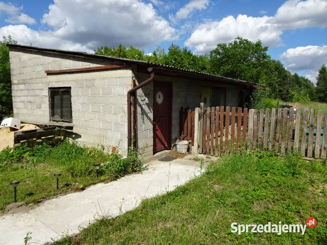 Syndyk sprzeda udziały 316 316 Sadek 90 mazowieckie sprzedam