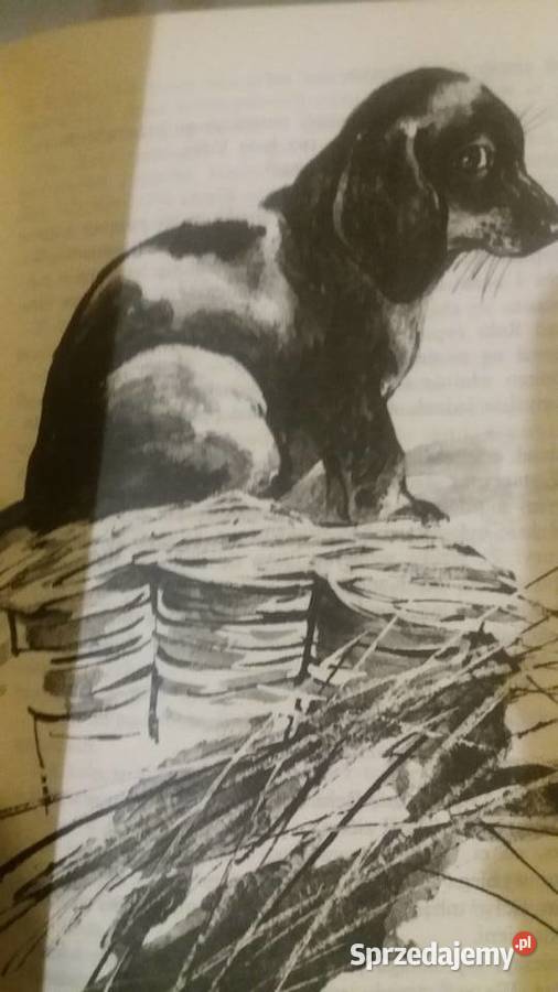 Opowiadania wybrane Jan Grabowski książki Nasza Antykwariat Warszawa