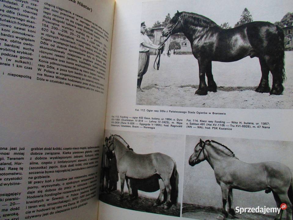 ATLAS ras zwierząt gospodarskich bydło rolnictwo