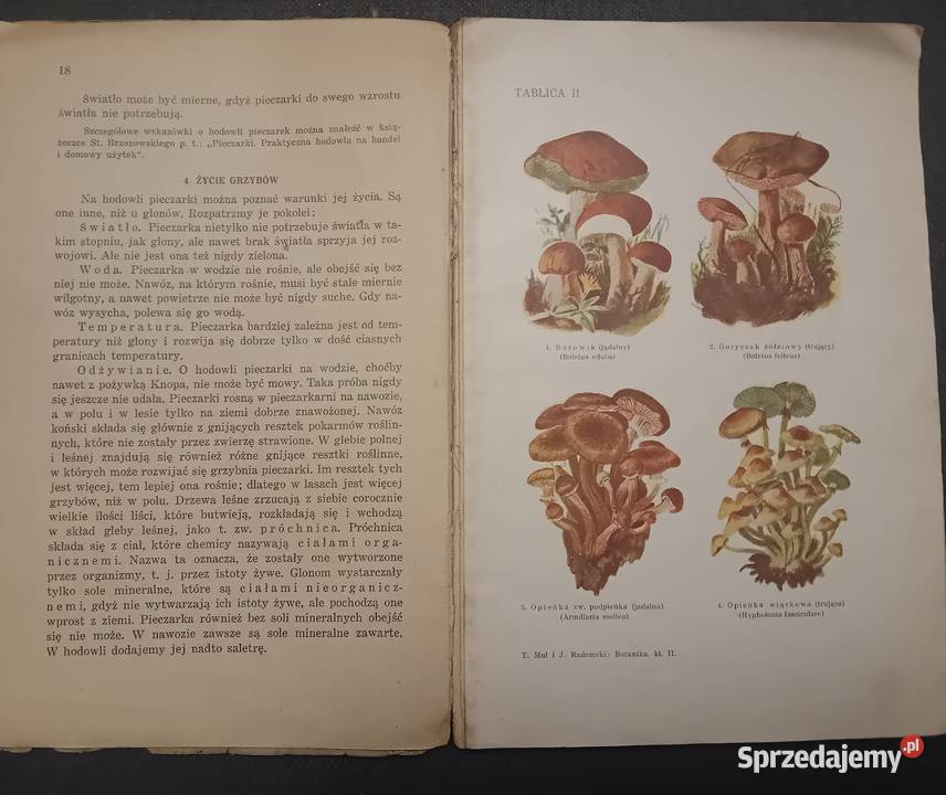 TMul i j Radomski Botanika Podr do biologii kl3 wielkopolskie Koźminek