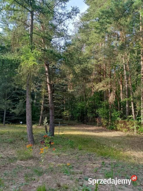 Murowany dom 120 m z działką 2500 m lesieŁódź Krzywiec sprzedam