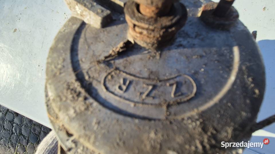 Komar piasta Hryniewicze