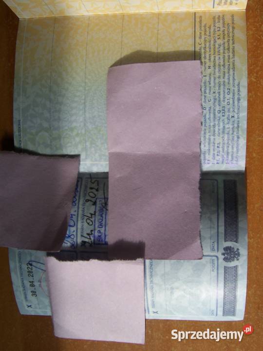 Ducato Izoterma MAXI I wł z polskiego salonu Chorzów