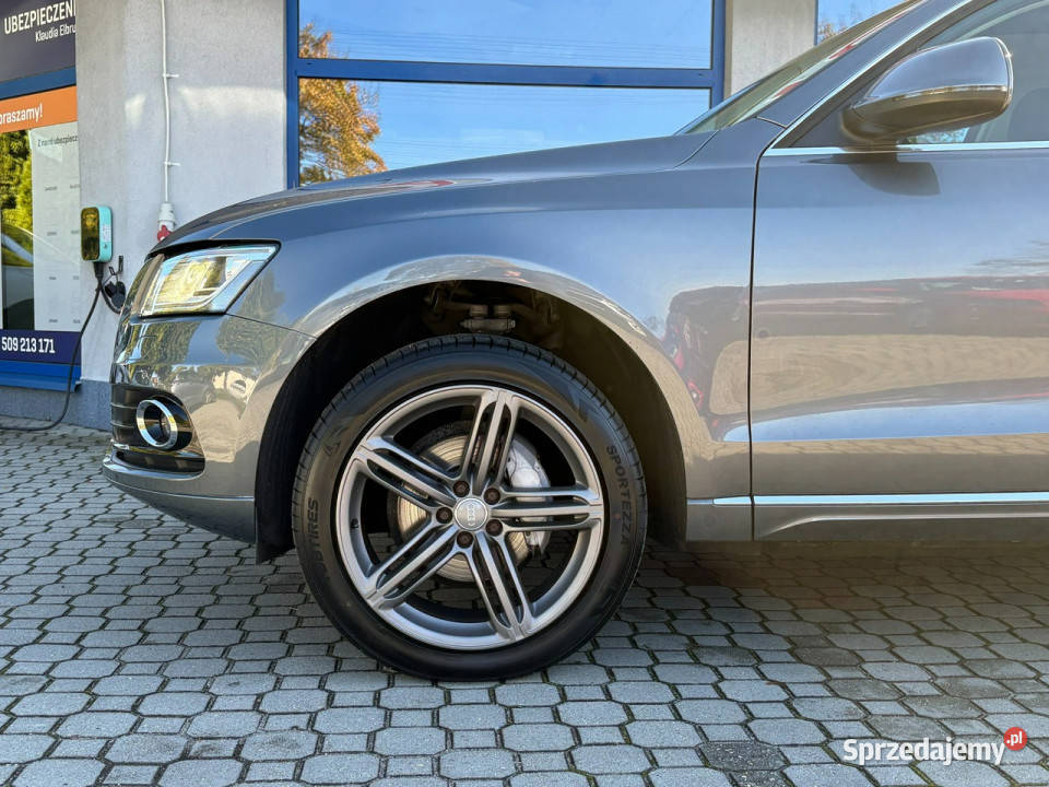 Audi Q5 Full LED Kamera Panorama Pełny serwis 8R Tarnowskie Góry