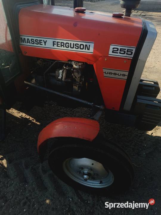 Massey Ferguson 255 Mońki