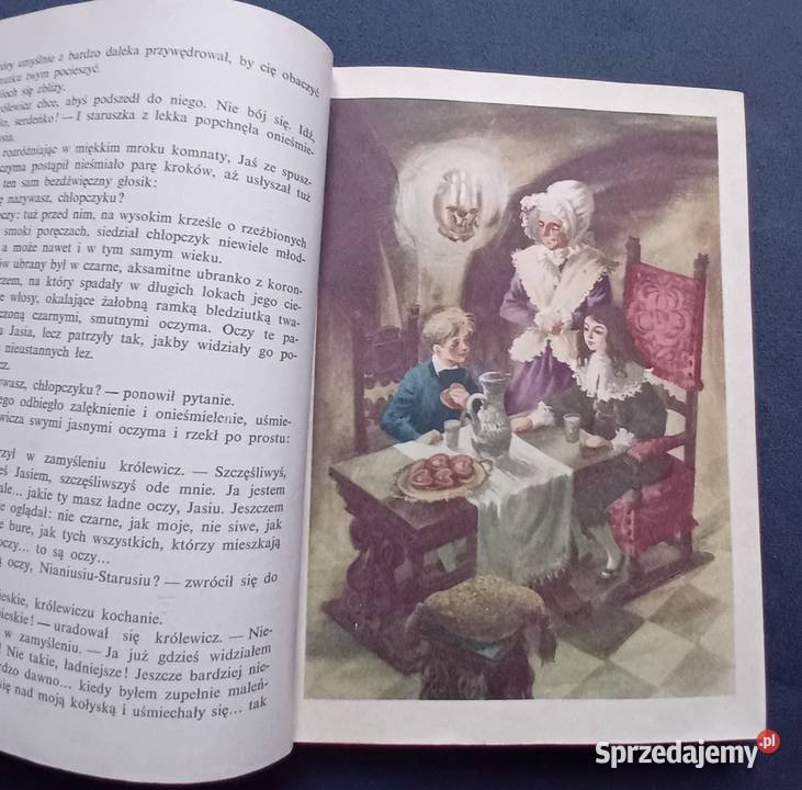 Ewa SzelburgZarembina Królestwo bajki Nasza Koźminek