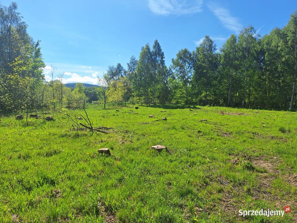 Działki w Małej Kamienicy Stara Kamienica sprzedam