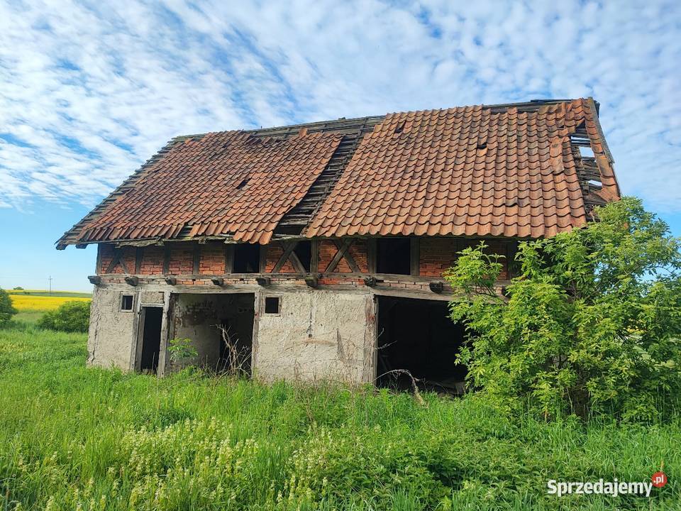 Siedlisko niedaleko BISZTYNKA 5500 m2 TANIO Grzęda