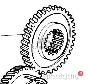 Massey Ferguson 3690 Koło Zębate Zębnik Skrzyni Jastrzębniki