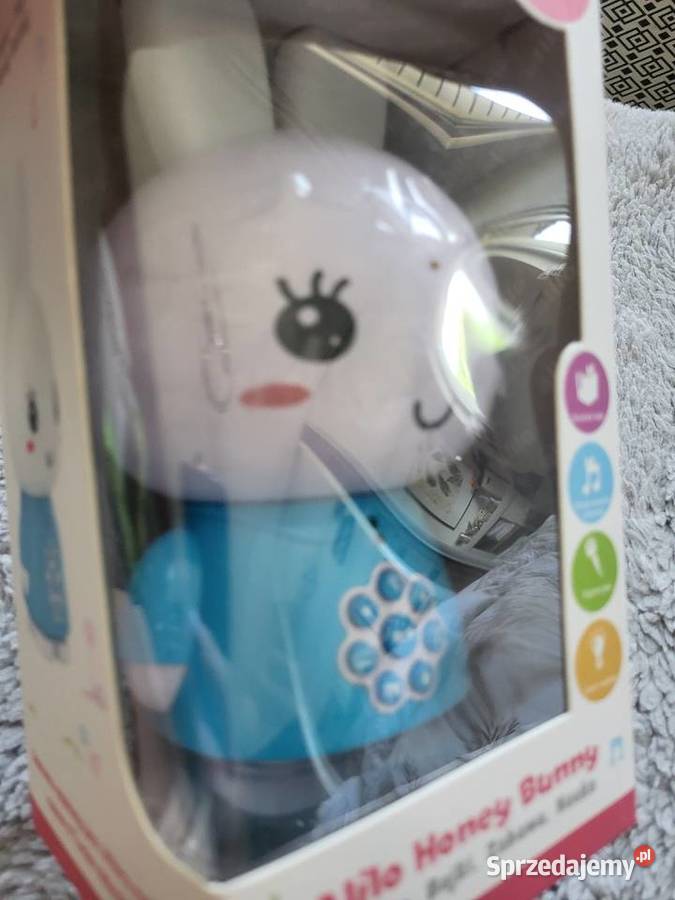 Alilo króliczek honey bunny Częstochowa