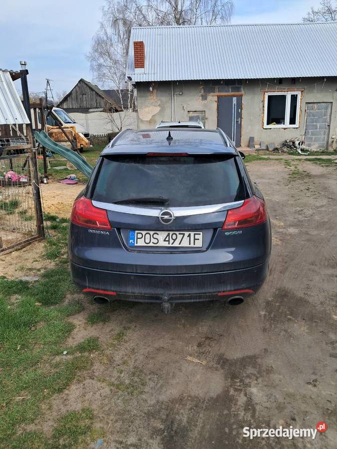 sprzedam INSIGNIĘ sprzedam