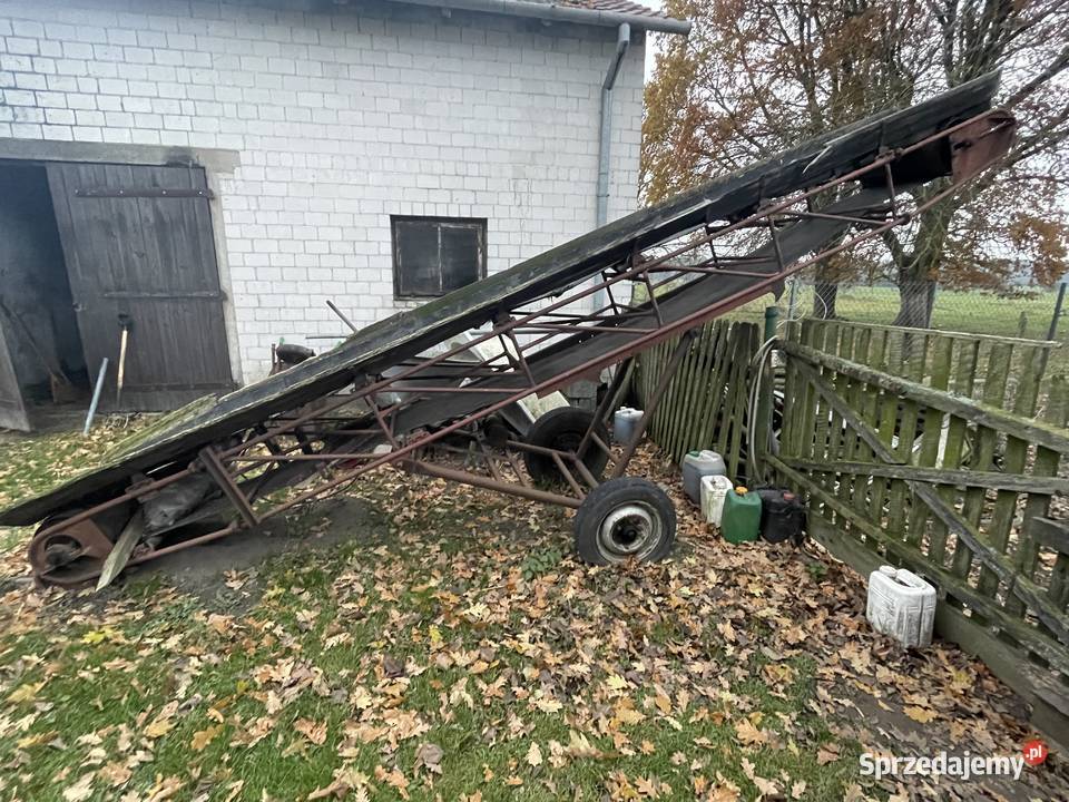 Taśmociąg do obornika Obryte sprzedam