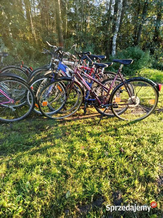 Rowery Dulcza Wielka