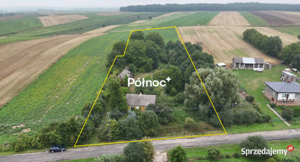 Gospodarstwo rolne dom pole i sad 088 ha Sprzedaż Telatyn