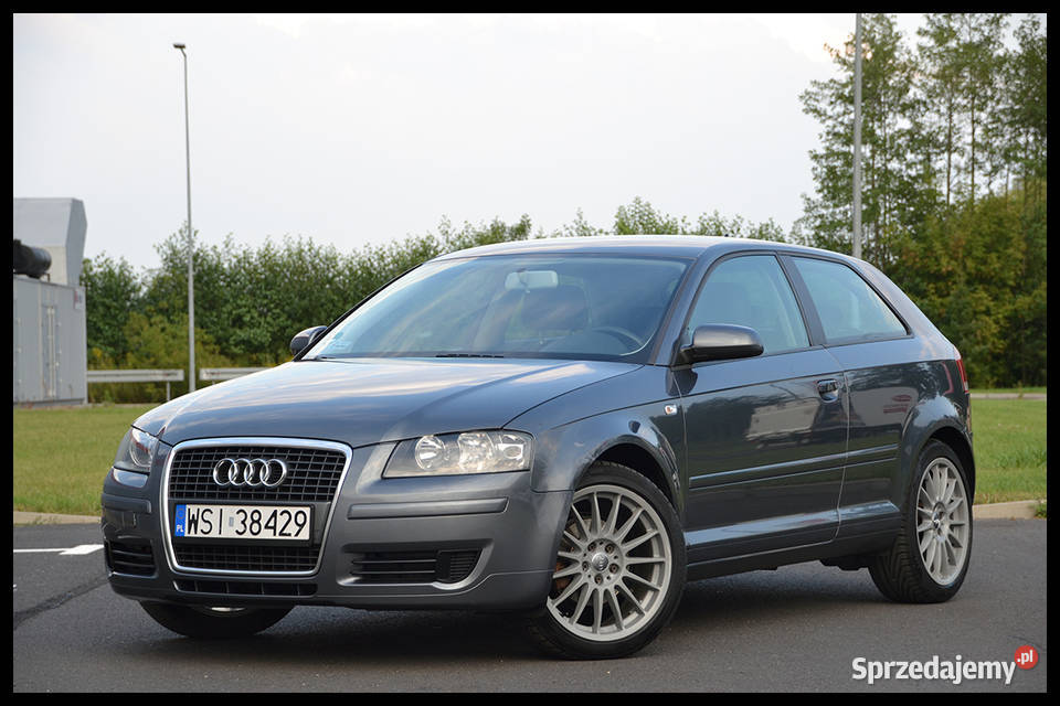 Audi A3 8P 19TDI Automat STRONIC ISOFIX Alufelgi mazowieckie Siedlce