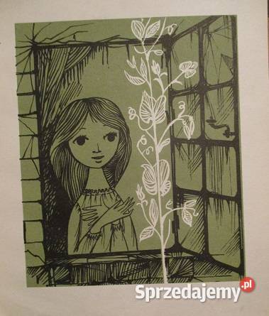 Brzydkie kaczątko i inne baśnie Andersen baśnie Książki dla dzieci Łódź