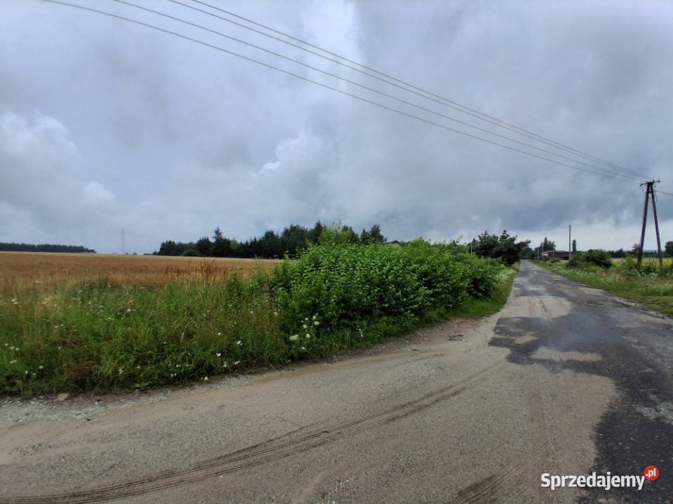 Sprzedam 11 hektara w Grońsku lasu drodze