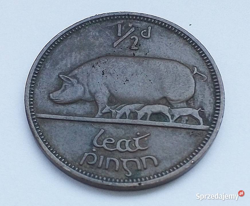 IRLANDIA12 PENNY1953 rŚWINIA Z MAŁYMI Legionowo sprzedam