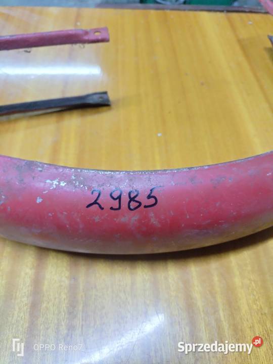 Błotnik komar Łubno