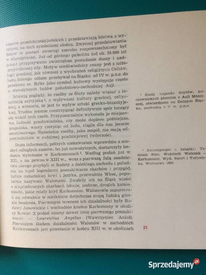 3437 Kamienie Ozdobne Polski