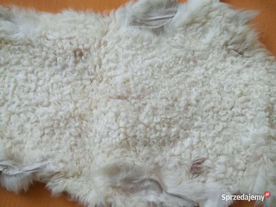 Karakuł jasny wyprawiona skórka Moda i Styl Łódź
