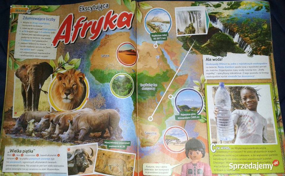 Playmobil Wiltopia 022023 miękka Chełm