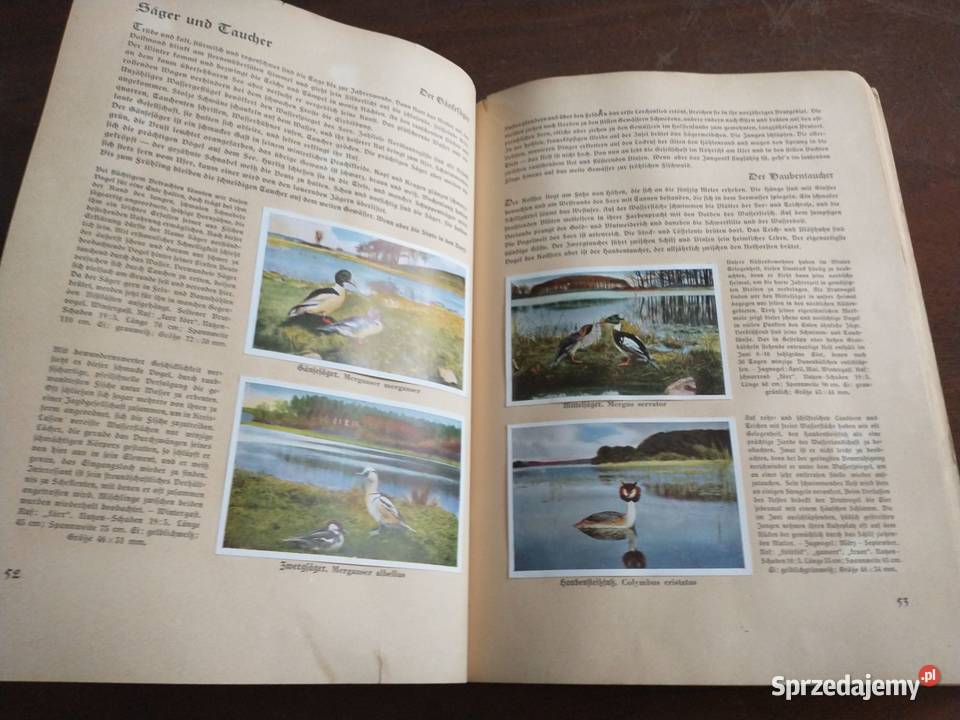 Album ptaki z Niemiec z 1936 roku Krotoszyn