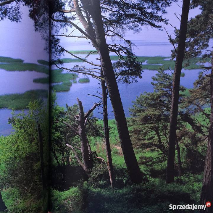 1085 Pomorze Zachodnie Szczecin sprzedam