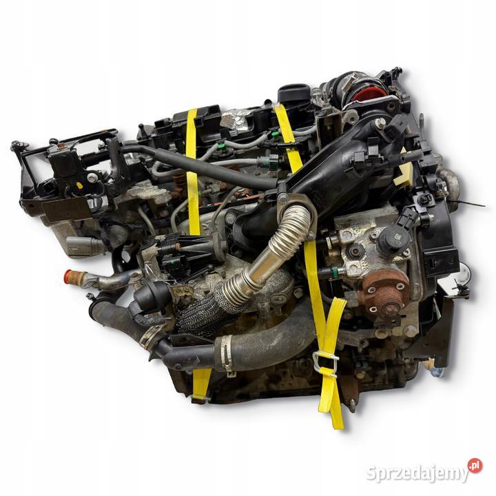 SILNIK UGJC Ford Fiesta VII MK7 B B 15 TDCI 75 Chełm