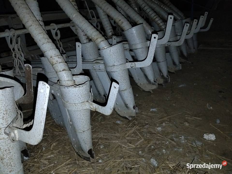 Siewnik zbożowy Wieluń