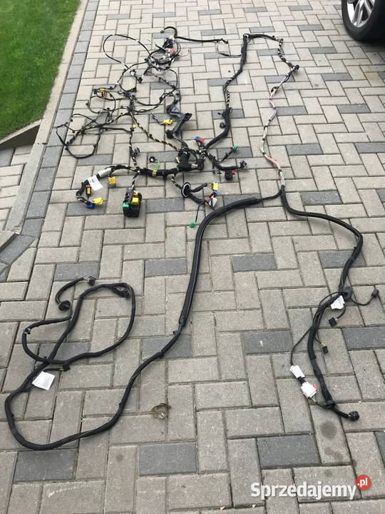 Expert III Vivaro Proance Jumpy III wiązka Układ elektryczny silnika Barwałd Dolny