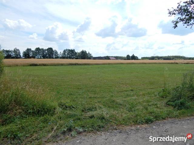 Ziemie 2h polna Małe Radowiska