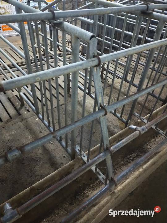 Kojce do loch Całość Pobiedziska