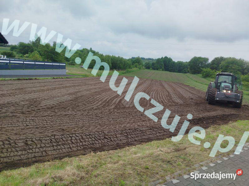 Wycinka drzew Mulczowanie Mulczer Karczowanie Kraków ogród