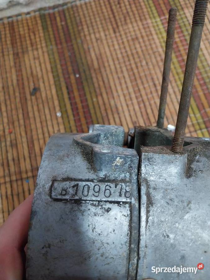 Kartery Komar Wolsztyn