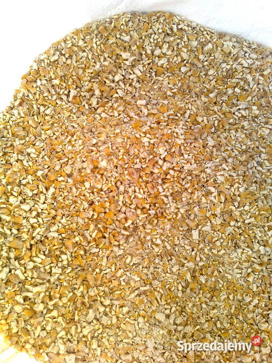 Kukurydza śrutowana Pozostałe podkarpackie Pruchnik sprzedam