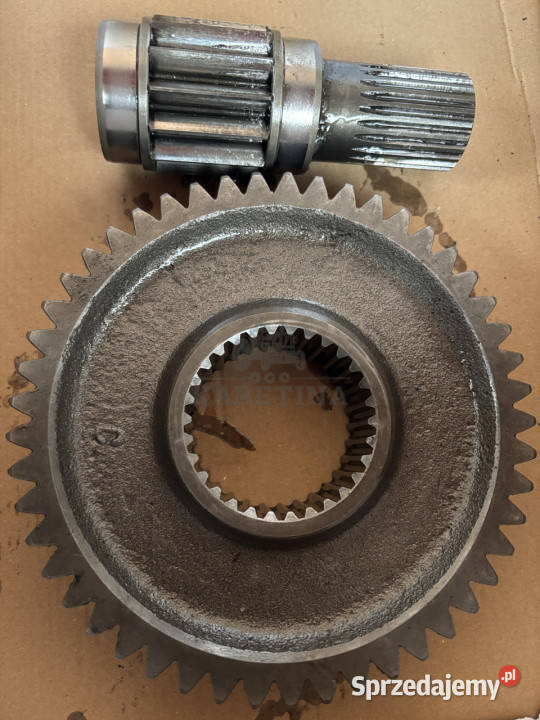 Weidemann 2006 tryby zwolnicy zwolnica Jastrzębniki