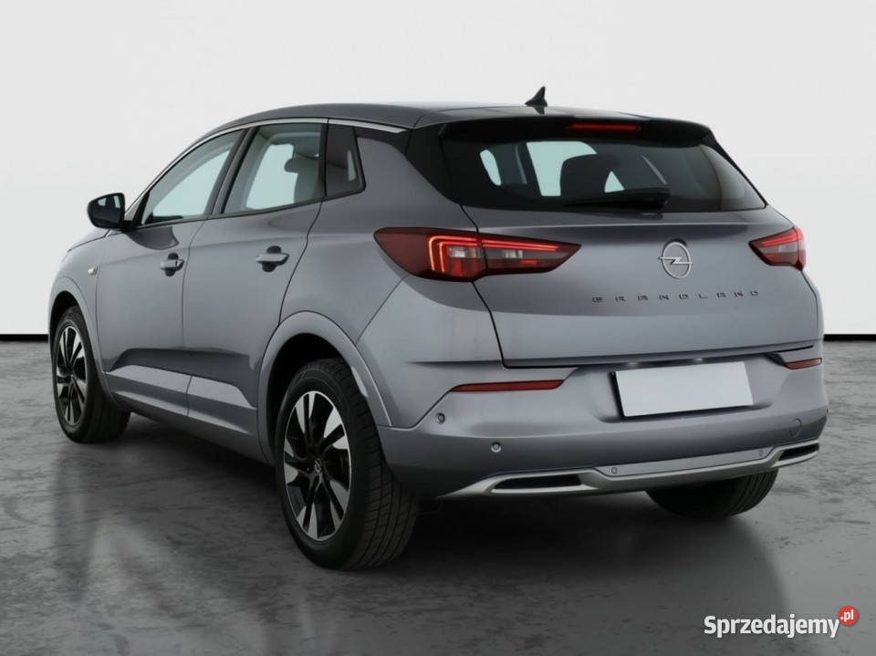 Opel Grandland 12 Turbo elektryczne lusterka Katowice