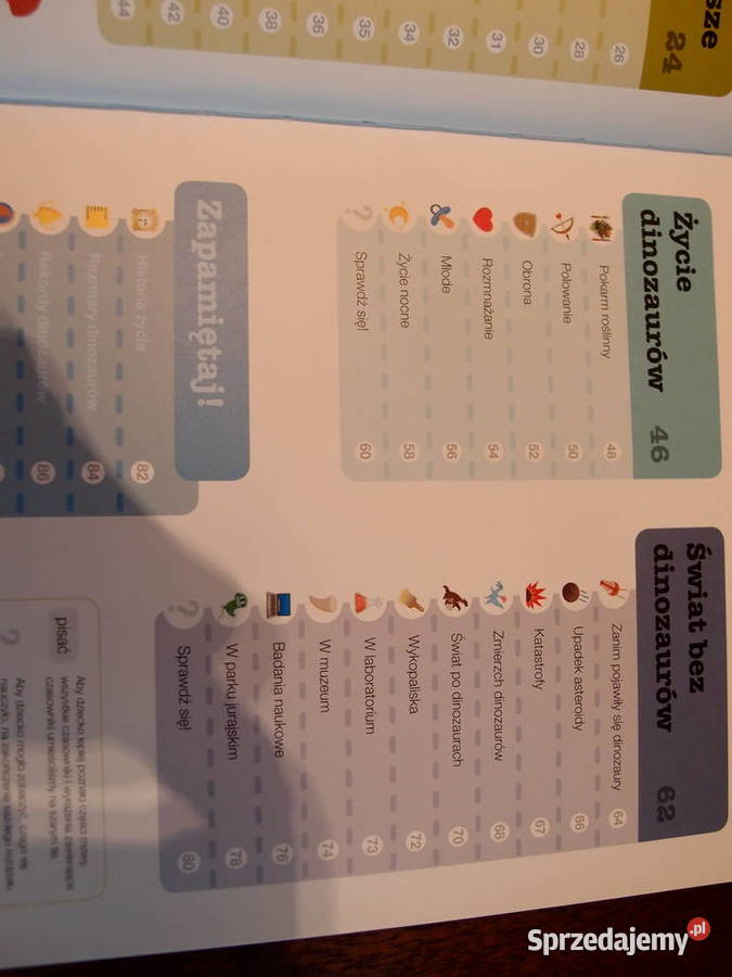 Encyklopedia dzieci Dinozaury przyroda, krajobrazy Łódź