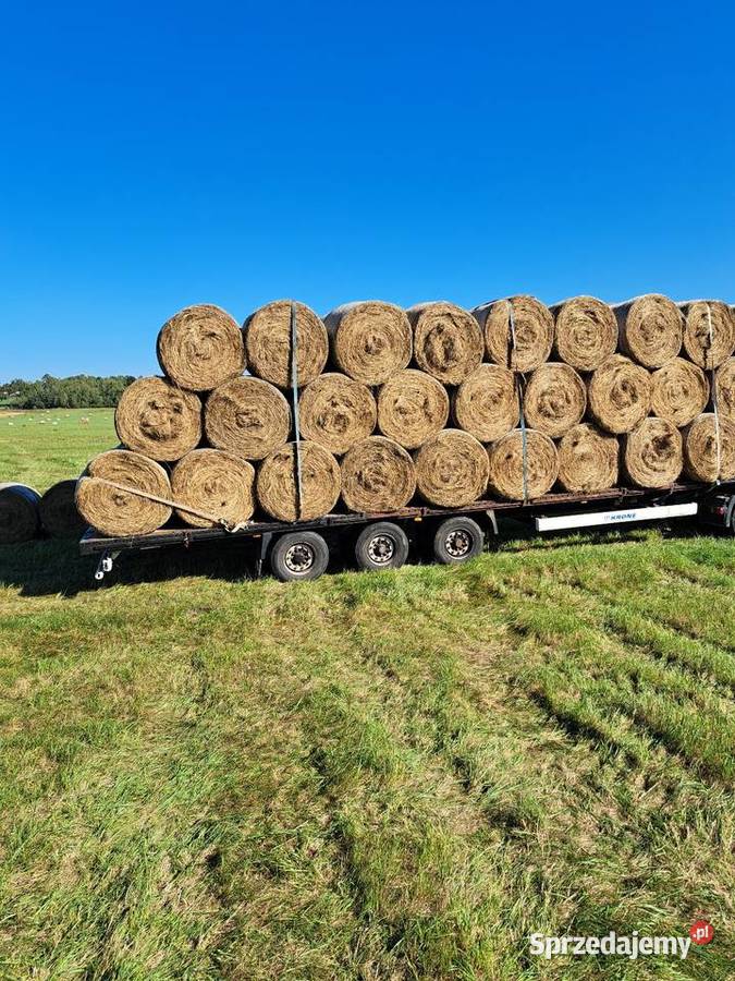 Siano zwierząt koni gryzoni baloty siana jakości