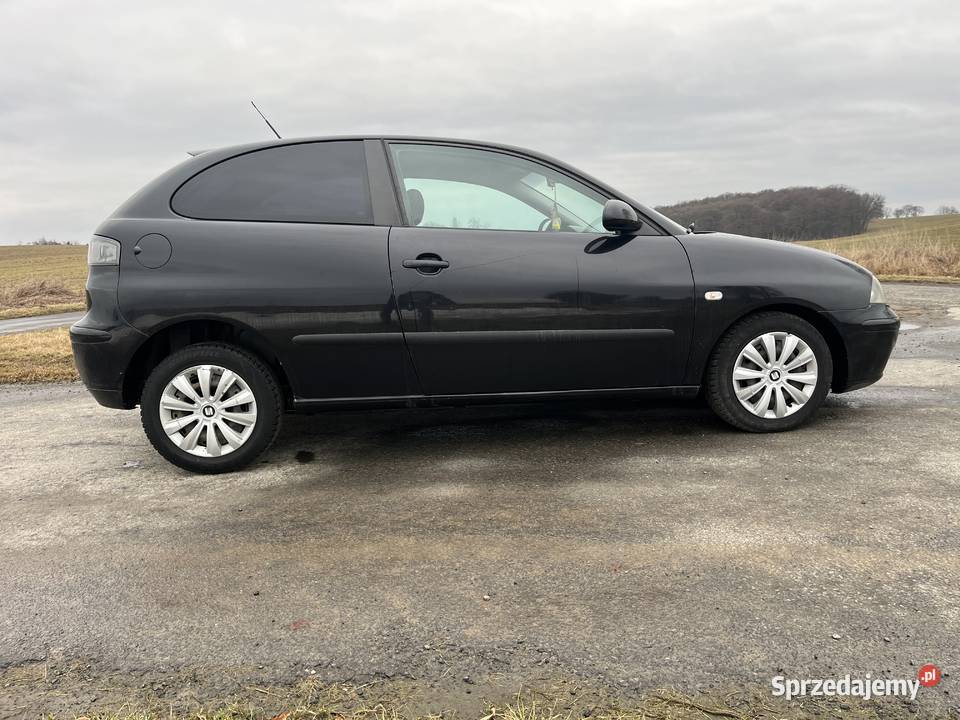 Seat Ibiza 2006 14 Kędzierzyn-Koźle