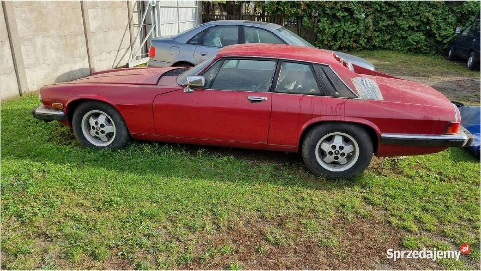 Jaguar XJS II sprzedaż syndyka wielkopolskie Poznań