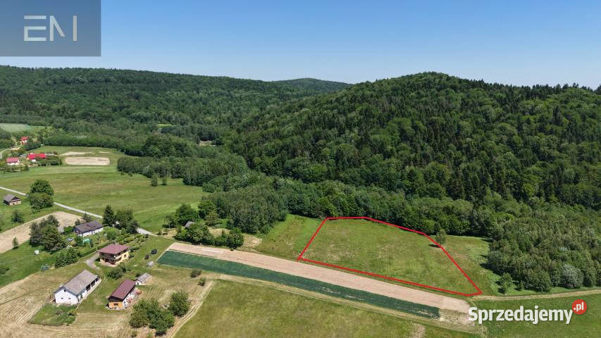 Działka 8800m2 Huta Gogołowska