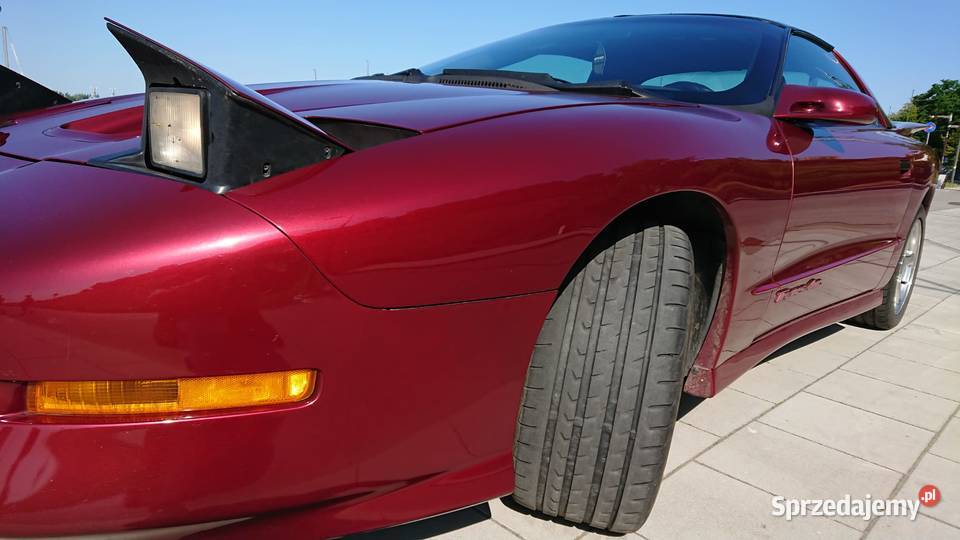 PONTIAC TRANS AM V8 STAN PERFEKT Sportowy / Coupe mazowieckie Płock