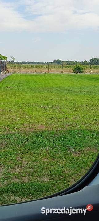 Regeneracja trawników systemy nawadniające