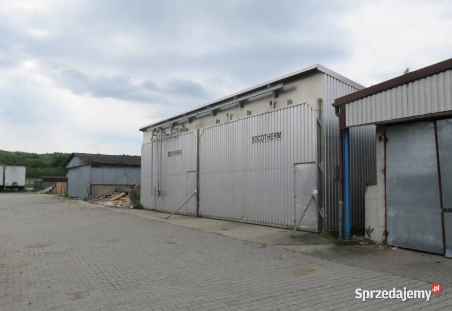 Syndyk sprzeda budynki urządzenia prawo Gubin