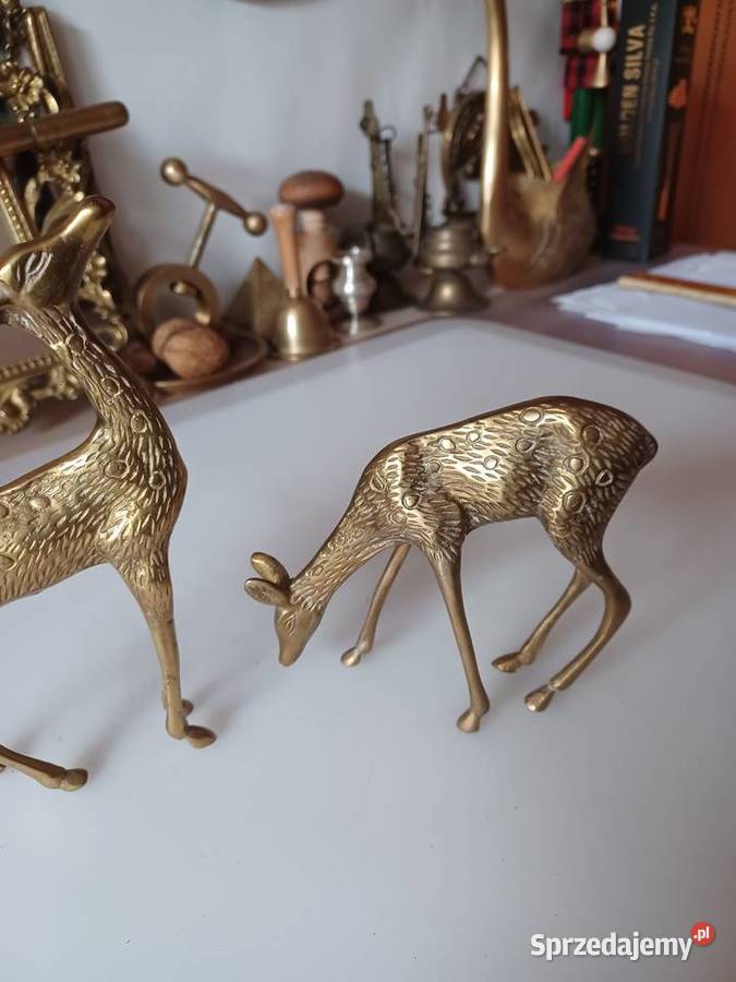 Sarenka I jelonek z mosiądzu Poznań